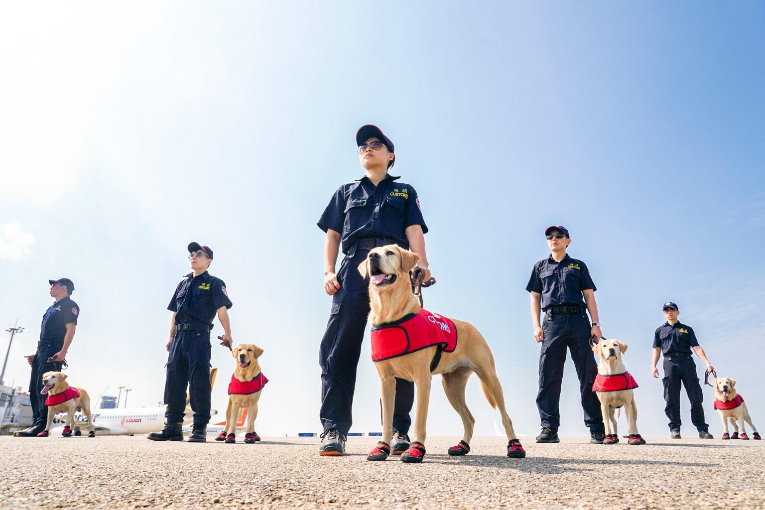 防檢署徵4領犬員 跟狗狗一起上班 最高月薪45K!