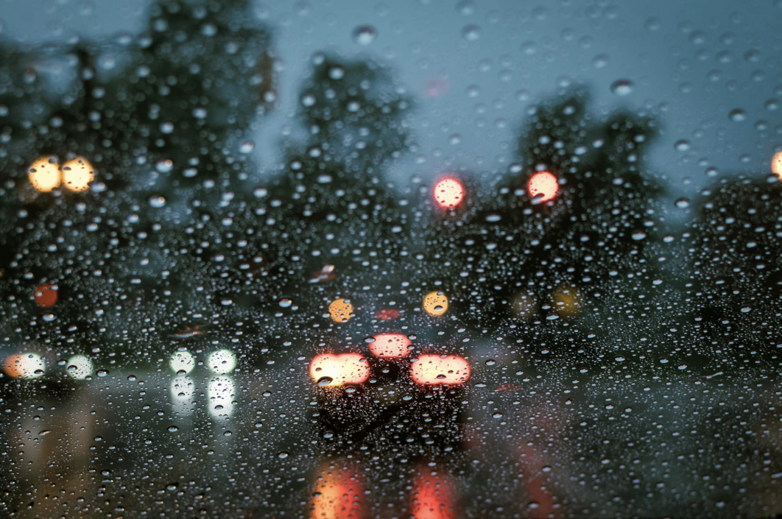 今北部、東半部降雨機率高! 「颱風將生成」下周一起影響最明顯